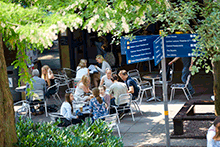 group in park